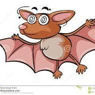 Fundraising Page: Dizzy Bats